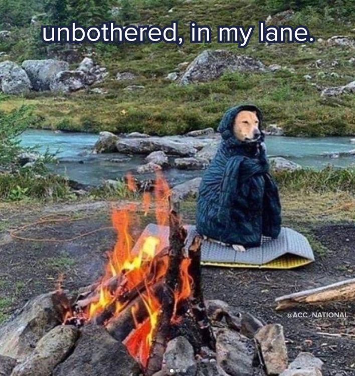 unbothered, in my lane. @ACC_NATIONAL