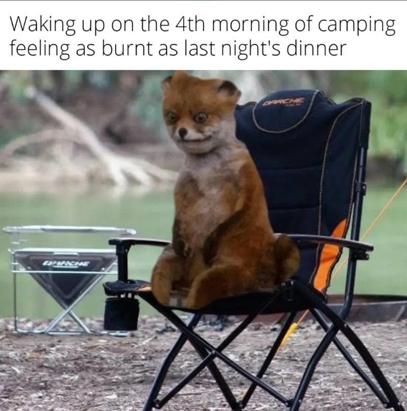 Waking up on the 4th morning of camping feeling as burnt as last night's dinner DARCHE