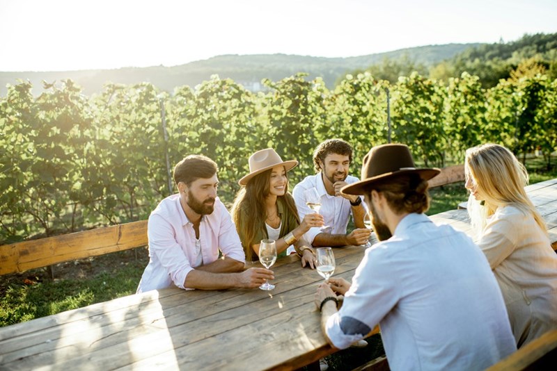 People are enjoying their weekend on a Vineyard.