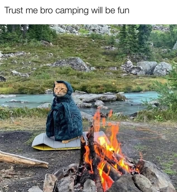 Trust me bro camping will be fun