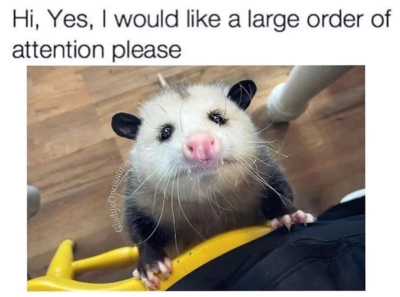 Gladys Hi, Yes, I would like a large order of attention please