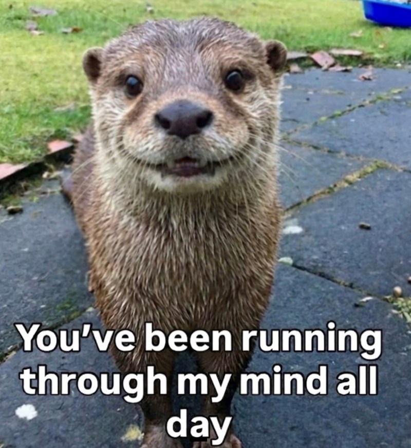You've been running through my mind all day