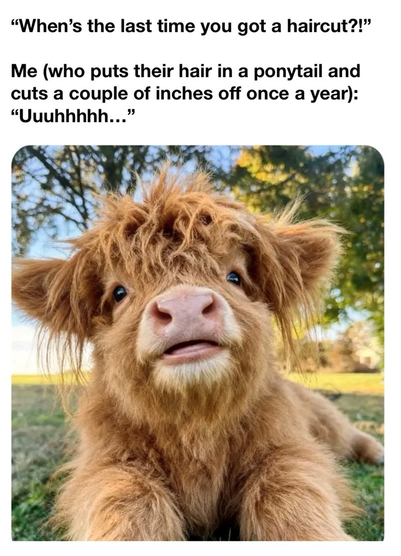 "When's the last time you got a haircut?!" Me (who puts their hair in a ponytail and cuts a couple of inches off once a year): "Uuuhhhhh..."