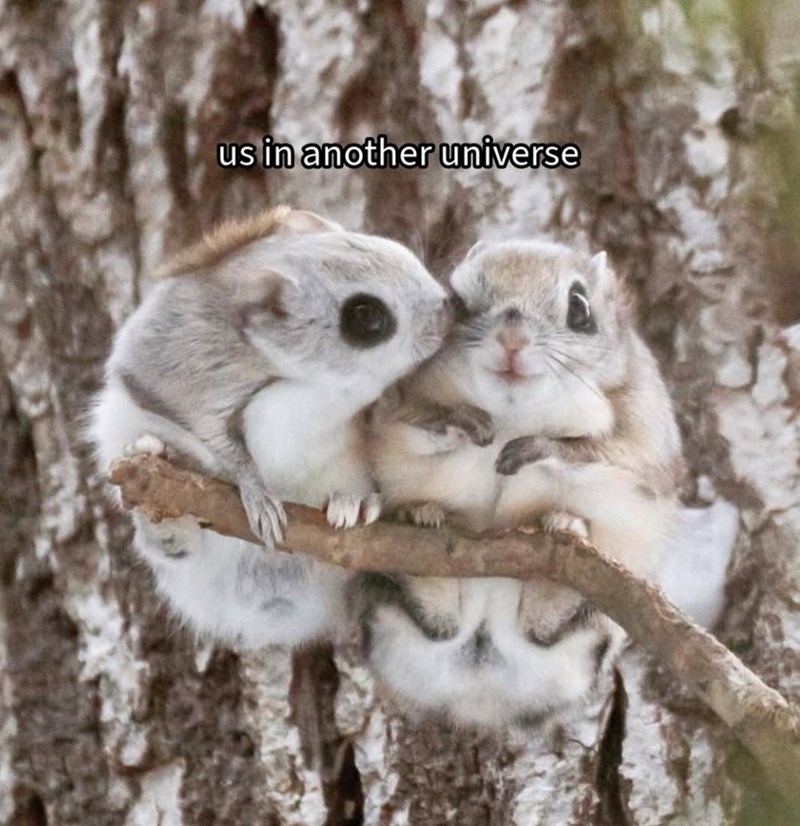 us in another universe