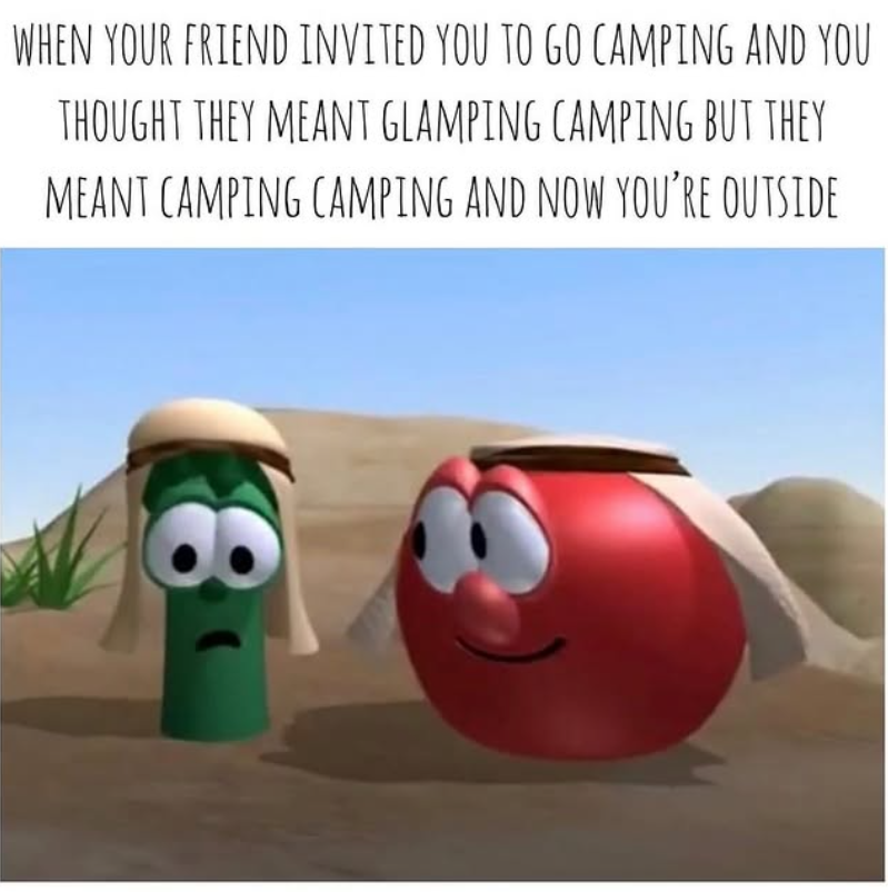 WHEN YOUR FRIEND INVITED YOU TO GO CAMPING AND YOU THOUGHT THEY MEANT GLAMPING CAMPING BUT THEY MEANT CAMPING CAMPING AND NOW YOU'RE OUTSIDE