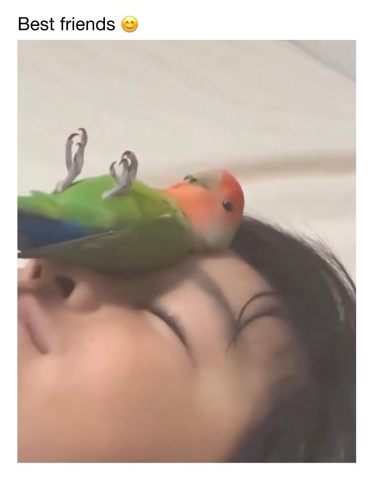 Best friends