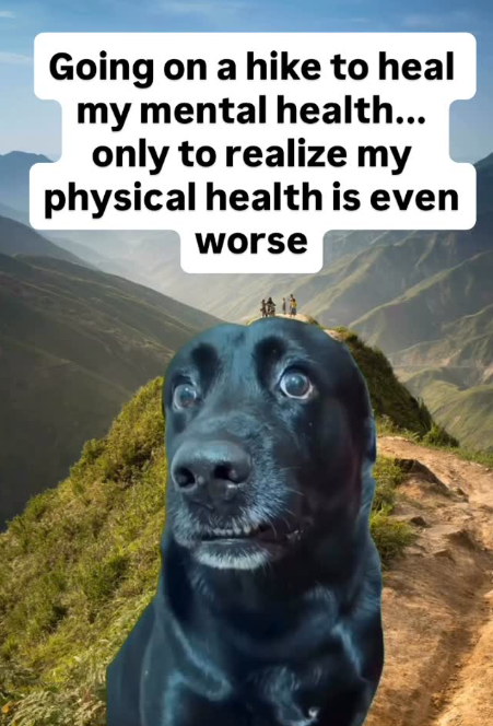 Going on a hike to heal my mental health... only to realize my physical health is even worse