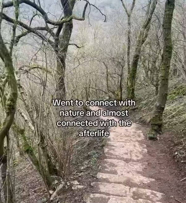 Went to connect with nature and almost connected with the afterlife