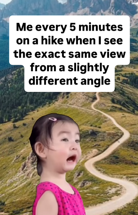 Me every 5 minutes on a hike when I see the exact same view from a slightly different angle