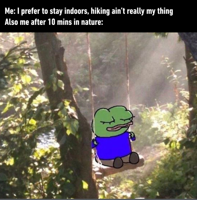 Me: I prefer to stay indoors, hiking ain't really my thing Also me after 10 mins in nature: