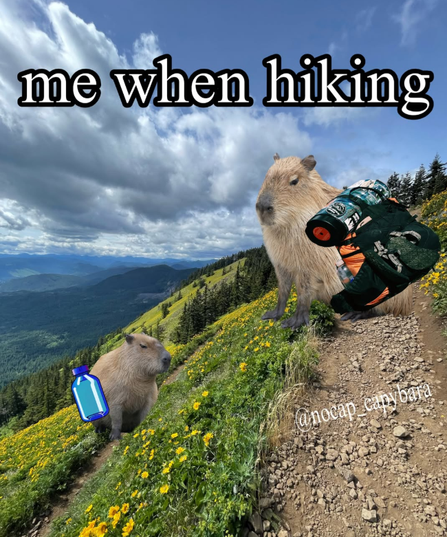 me when hiking @nocap capybara