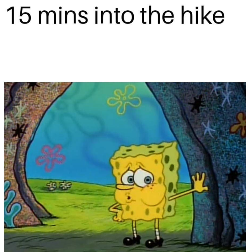 15 mins into the hike 好味