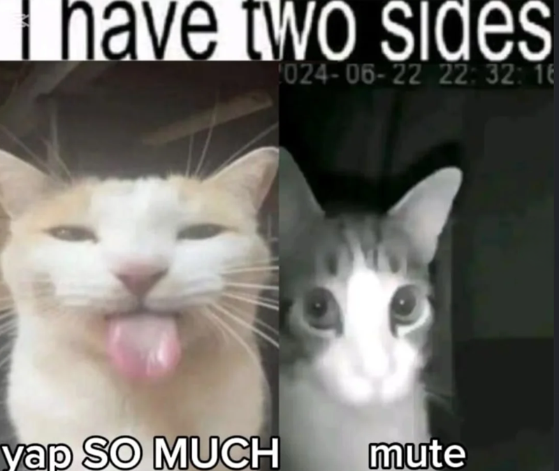 I have two sides 024-06-22 22:32:16 yap SO MUCH mute