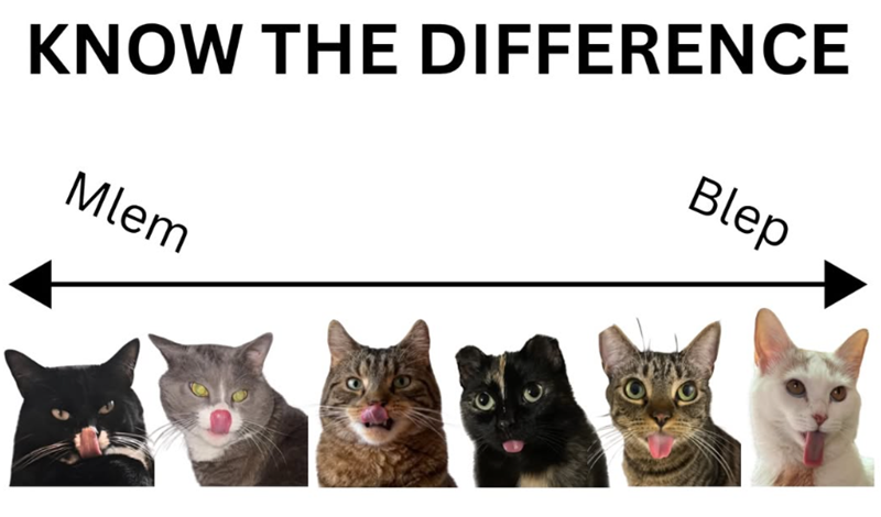 KNOW THE DIFFERENCE Blep Mlem