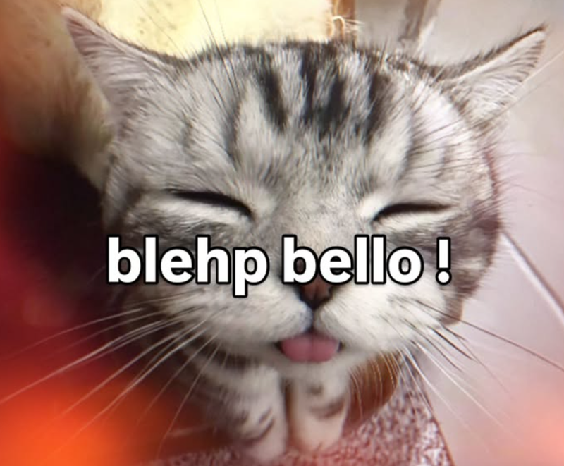 blehp bello!