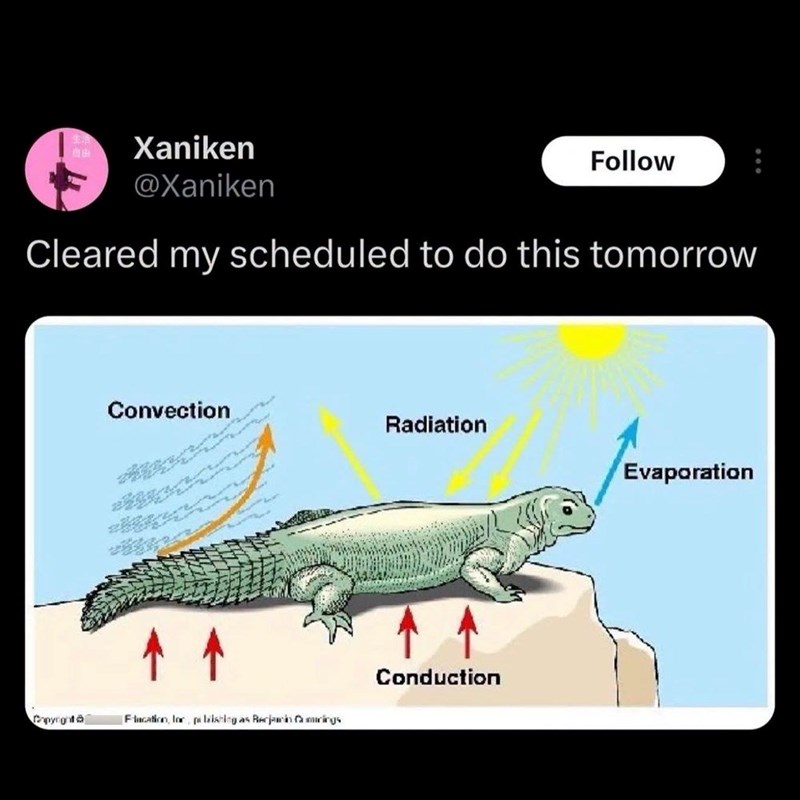 生活 Xaniken @Xaniken Follow Cleared my scheduled to do this tomorrow Convection Radiation Evaporation ↑ ↑ Conduction Copyright Flucation, lor pe listing as Recjami rings