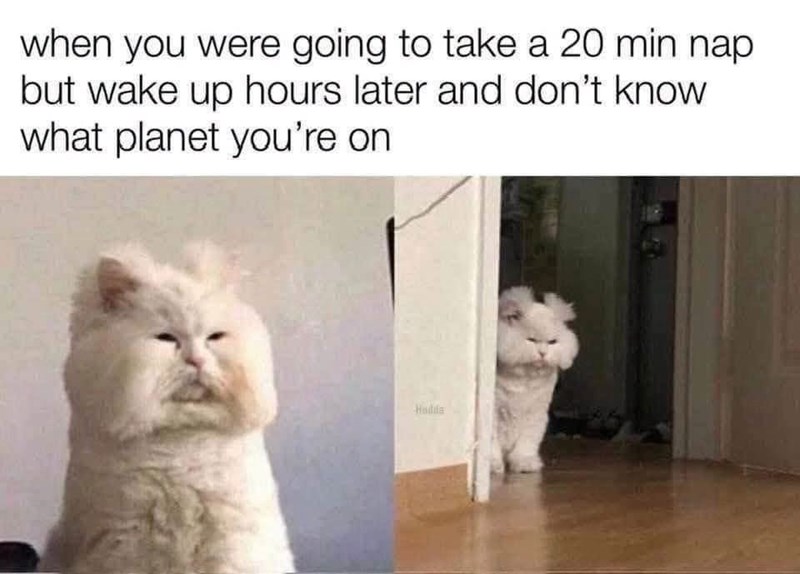 when you were going to take a 20 min nap but wake up hours later and don't know what planet you're on Hodda