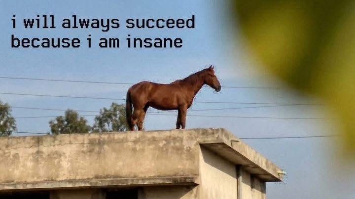 i will always succeed because i am insane