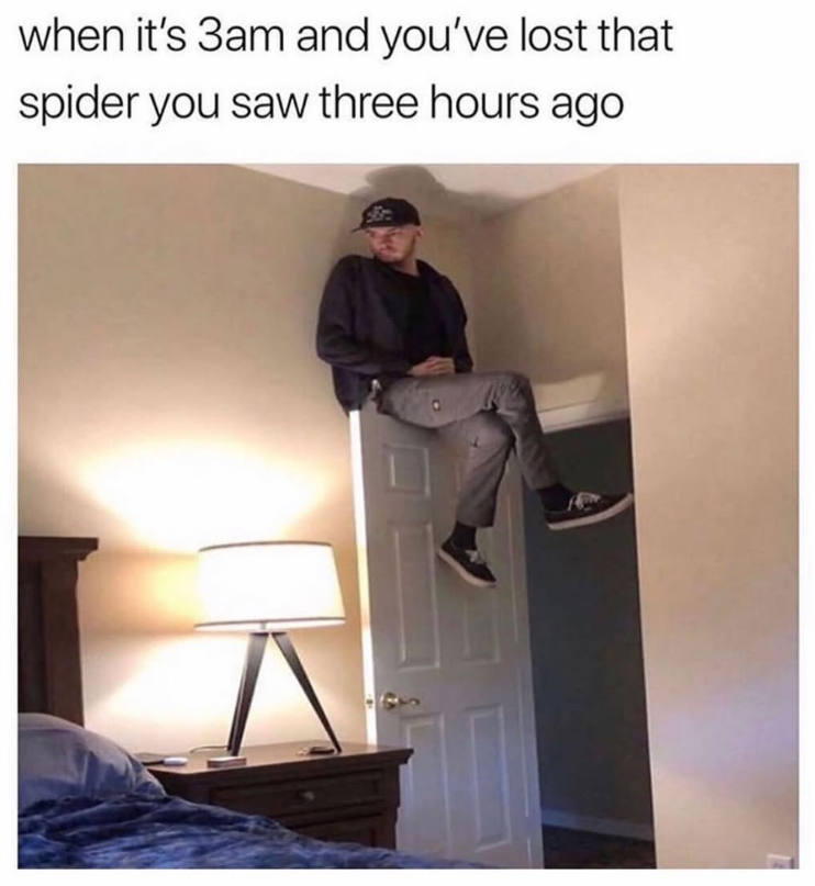 when it's 3am and you've lost that spider you saw three hours ago