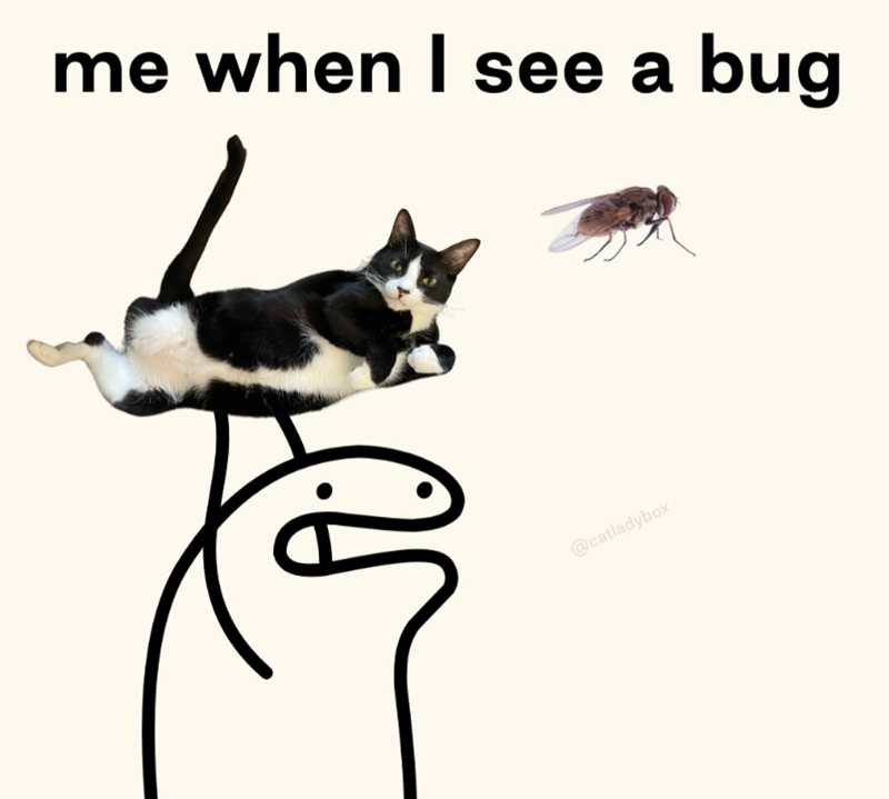 me when I see a bug @catladybox