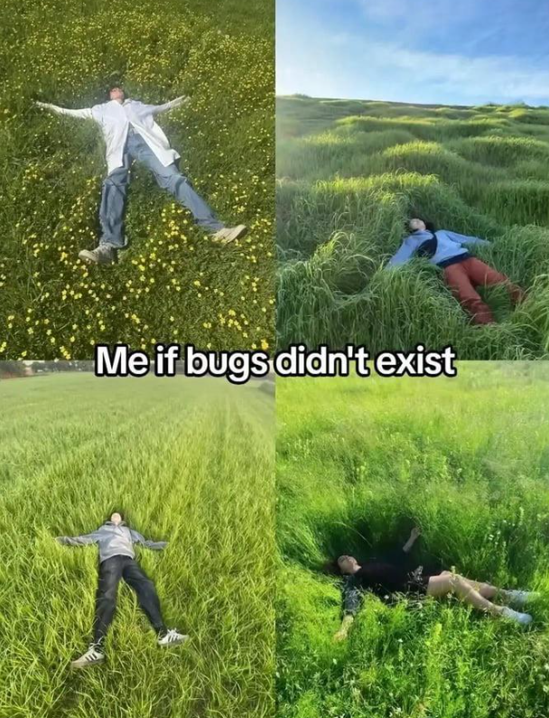 Me if bugs didn't exist