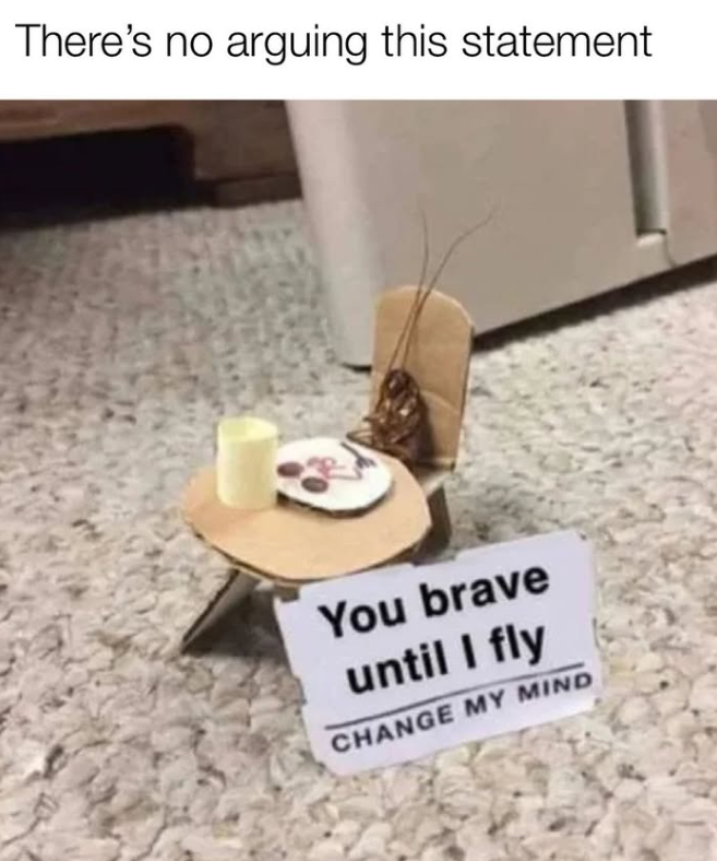 There's no arguing this statement You brave until I fly CHANGE MY MIND