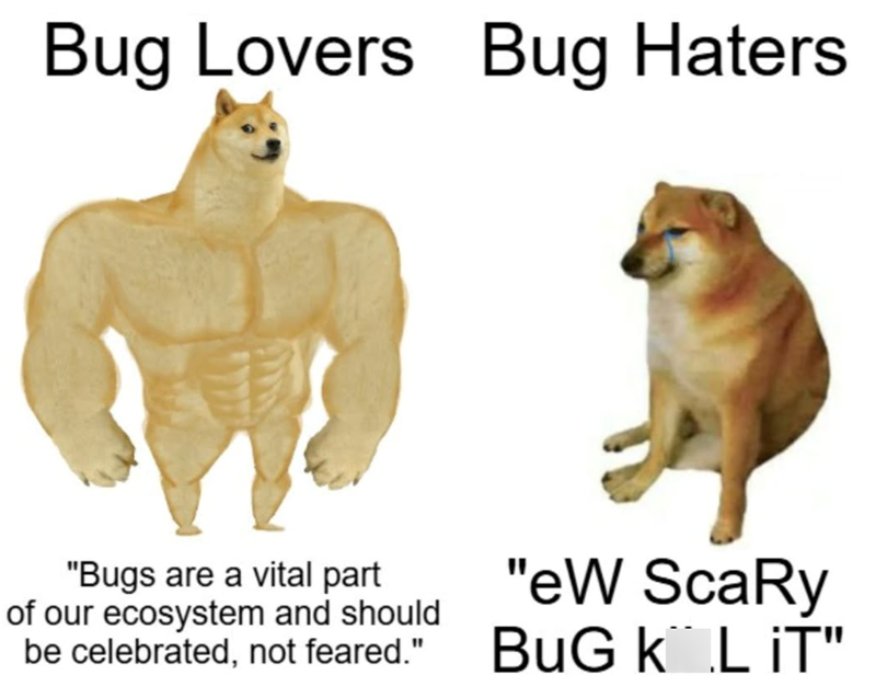 Bug Lovers Bug Haters "Bugs are a vital part of our ecosystem and should be celebrated, not feared." "eW ScaRy BUG K L IT"