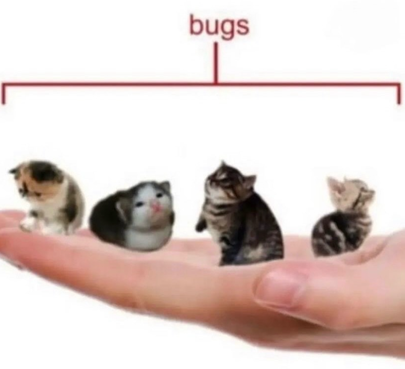 bugs