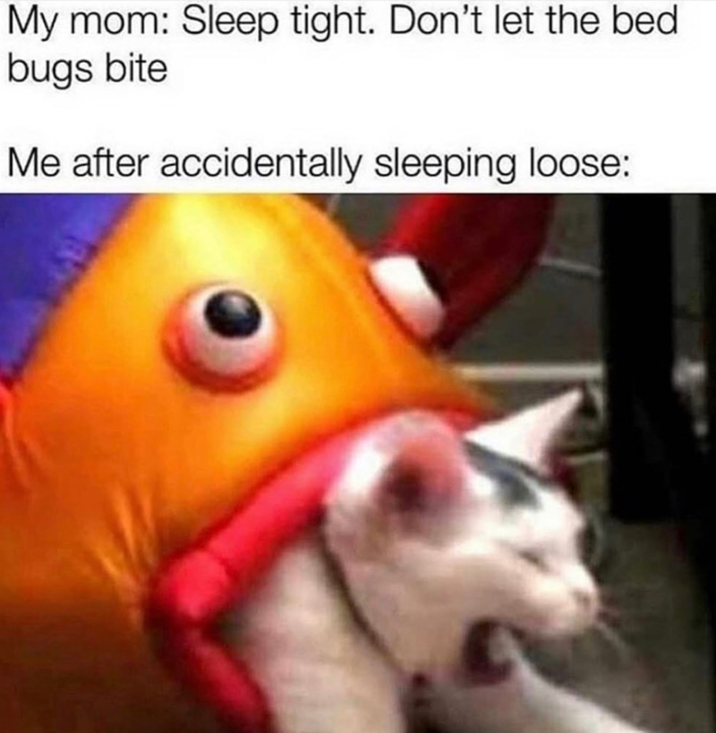 My mom: Sleep tight. Don't let the bed bugs bite Me after accidentally sleeping loose:
