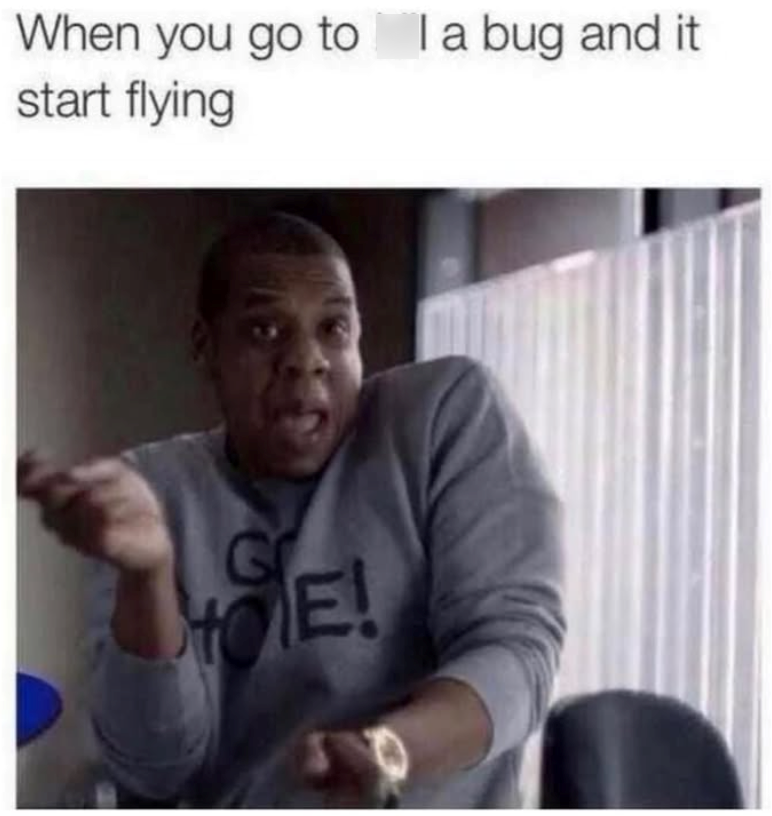 When you go to I a bug and it start flying G LOE!