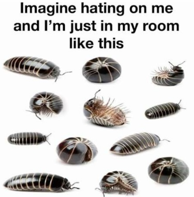 Imagine hating on me and I'm just in my room like this