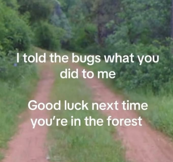 I told the bugs what you did to me Good luck next time you're in the forest