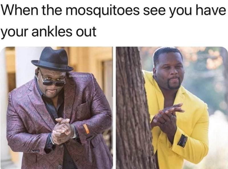 When the mosquitoes see you have your ankles out @spiceadans