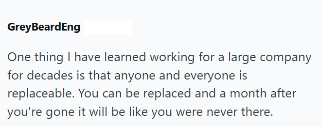 Grey BeardEng One thing I have learned working for a large company for decades is that anyone and everyone is replaceable. You can be replaced and a month after you're gone it will be like you were never there.