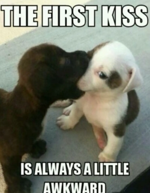 THE FIRST KISS IS ALWAYS A LITTLE AWKWARD