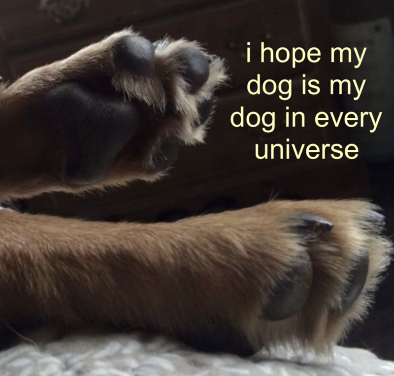 i hope my dog is my dog in every universe