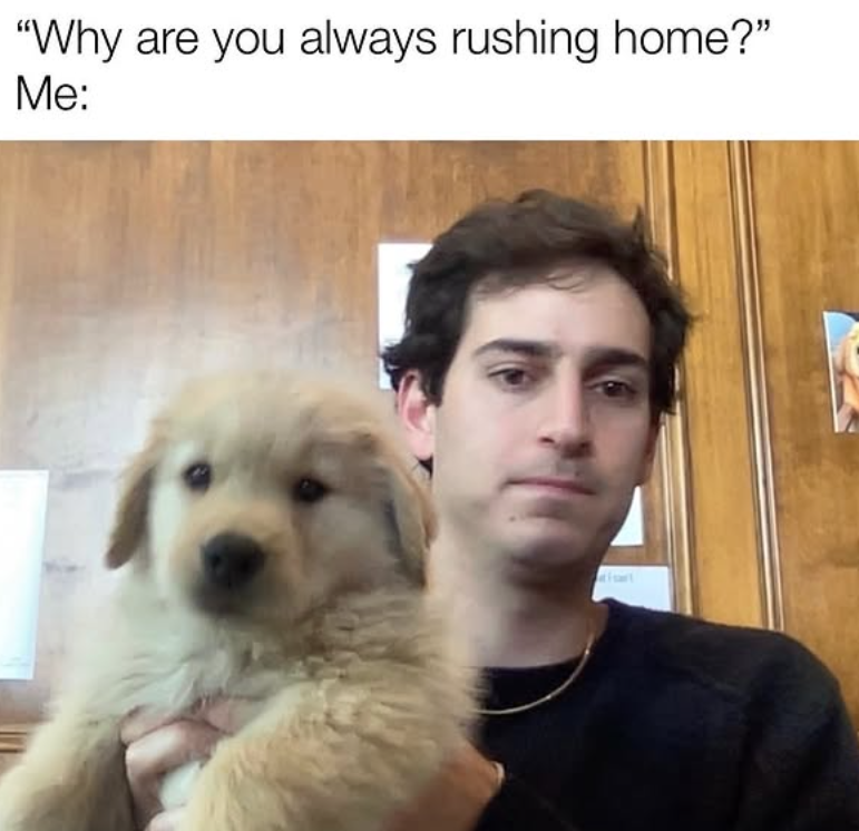 "Why are you always rushing home?" Me: