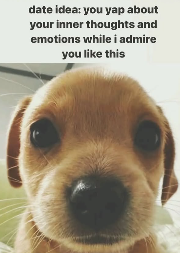 date idea: you yap about your inner thoughts and emotions while i admire you like this