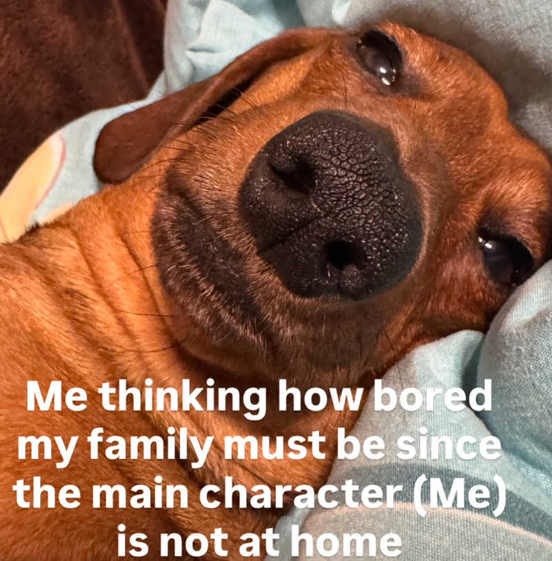 Me thinking how bored my family must be since the main character (Me) is not at home