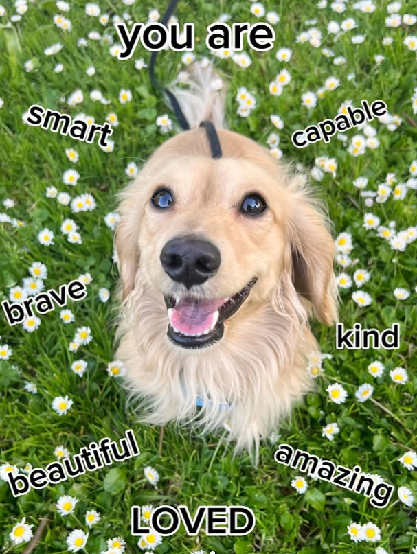 smart you are capable brave kind beautiful LOVED amazing