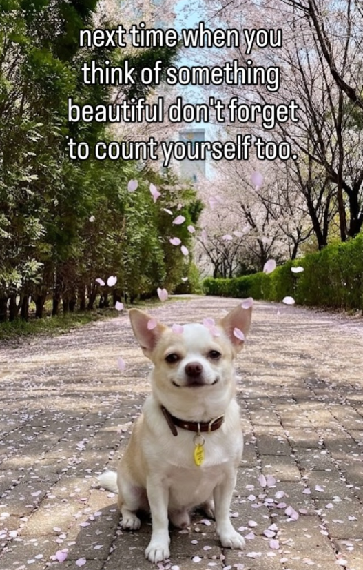 next time when you think of something beautiful don't forget to count yourself too.