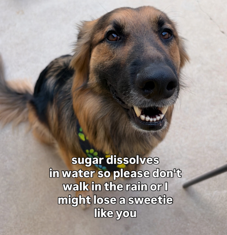 sugar dissolves in water so please don't walk in the rain or I might lose a sweetie like you