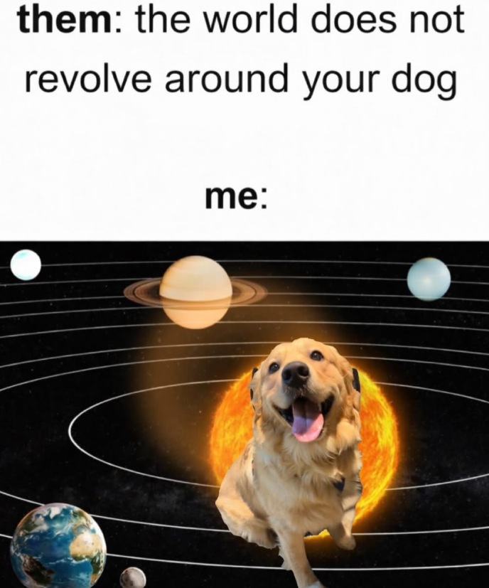 them: the world does not revolve around your dog me: