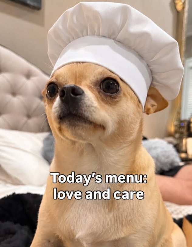 Today's menu: love and care