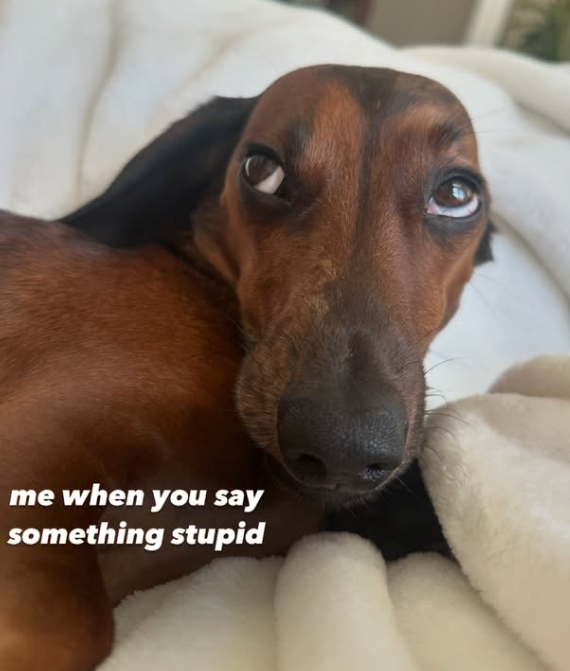 me when you say something stupid