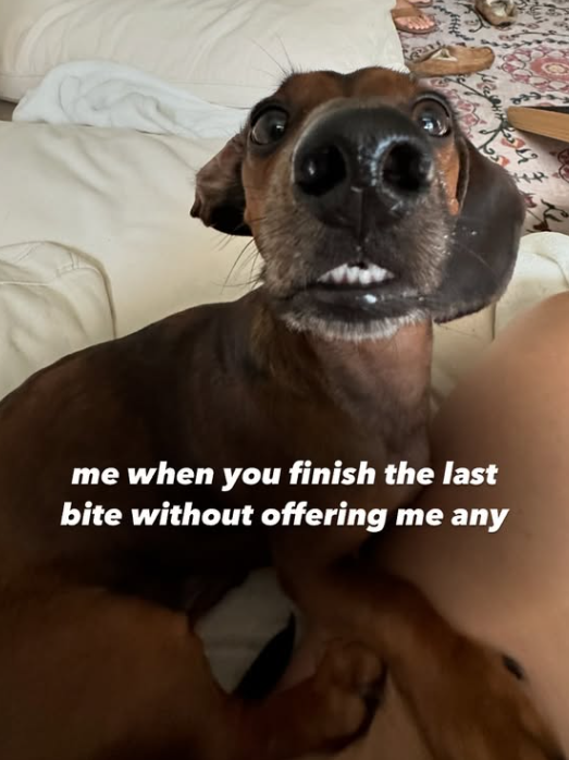 me when you finish the last bite without offering me any