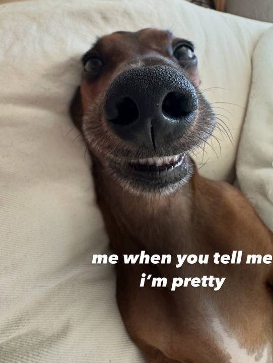 me when you tell me i'm pretty
