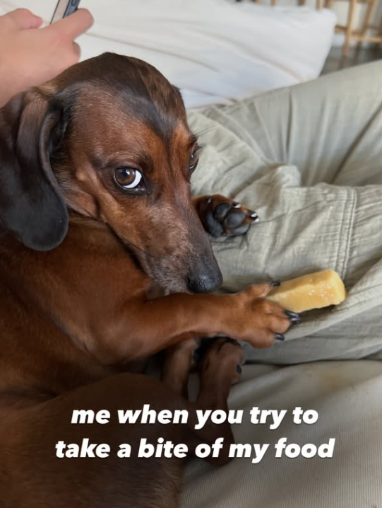 me when you try to take a bite of my food