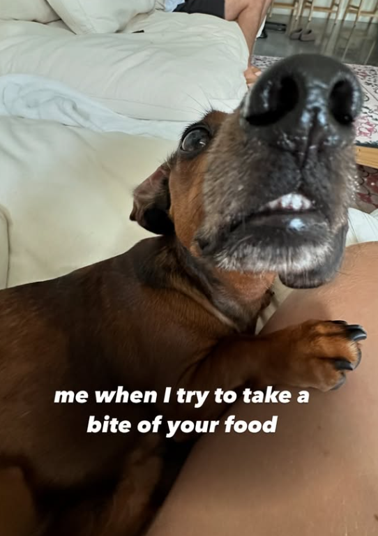 me when I try to take a bite of your food