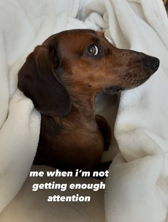 me when i'm not getting enough attention